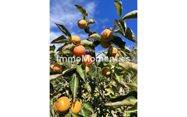 Resale - Country house - Estepona - New Golden Mile