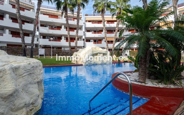 Revente - Appartement - Orihuela - Playa Flamenca