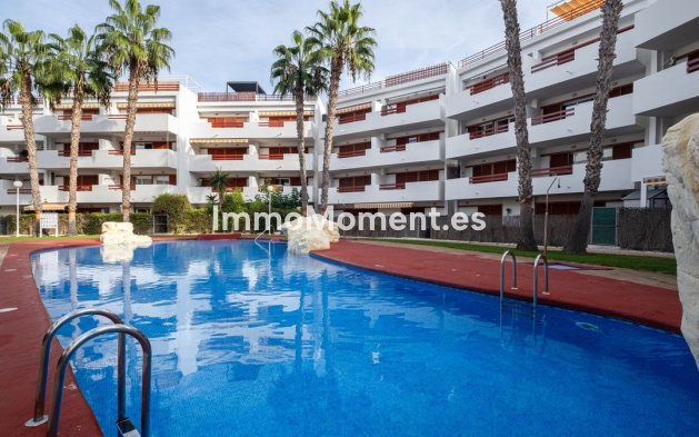 Revente - Appartement - Orihuela - Playa Flamenca
