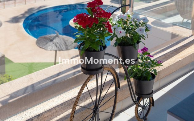 Revente - Appartement - Orihuela - Mil Palmeras