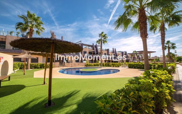 Revente - Appartement - Orihuela - Mil Palmeras