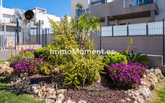 Bestaande woning - Appartement - Torrevieja - Aguas Nuevas