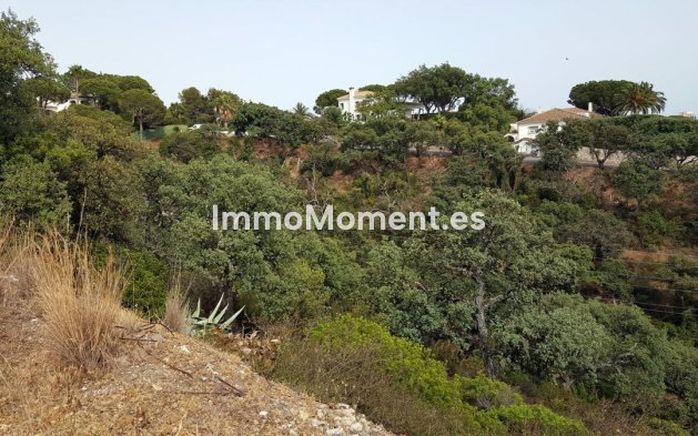 Construction neuve - Terrain - Marbella - Elviria