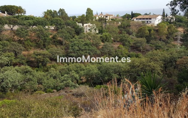 Construction neuve - Terrain - Marbella - Elviria
