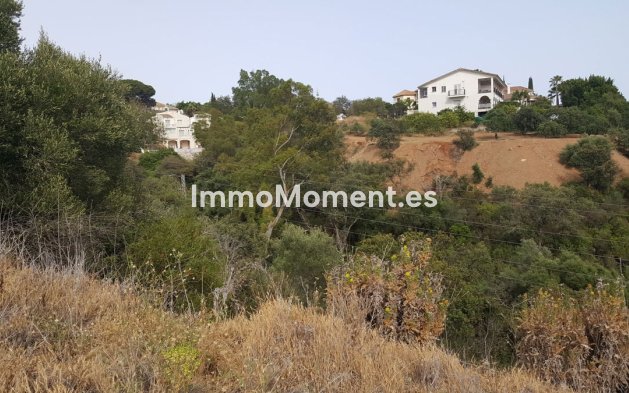 Construction neuve - Terrain - Marbella - Elviria
