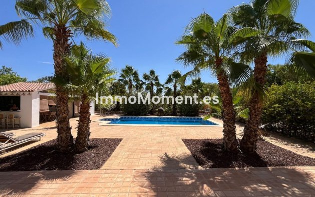 Resale - Villa - Elche - Torrellano