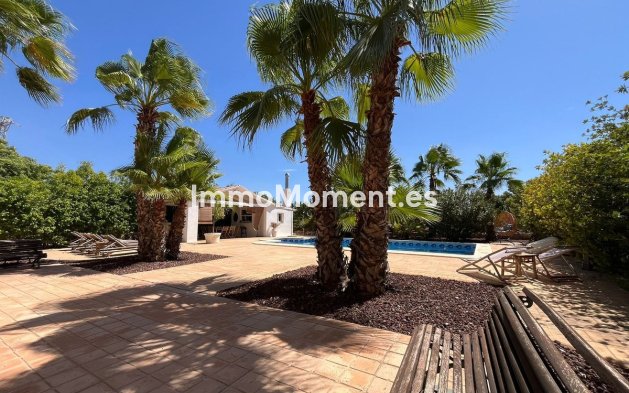 Resale - Villa - Elche - Torrellano