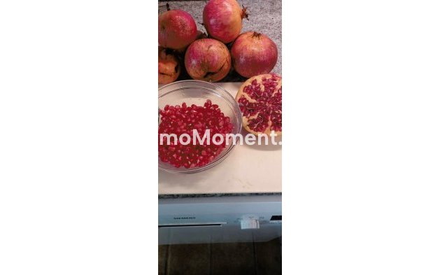 Wiederverkauf - Landhaus - Dolores - Dolores Centro