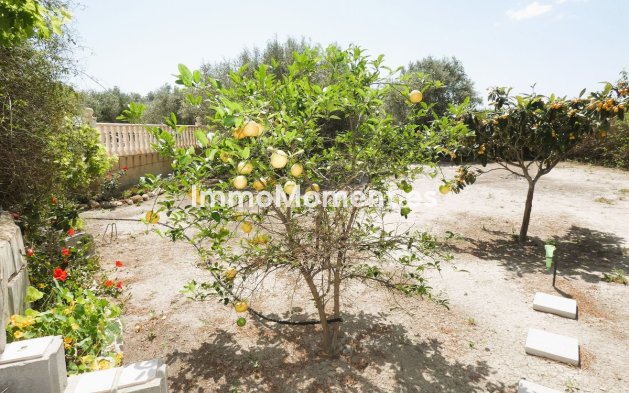 Wiederverkauf - Landhaus - Dolores - Dolores Centro