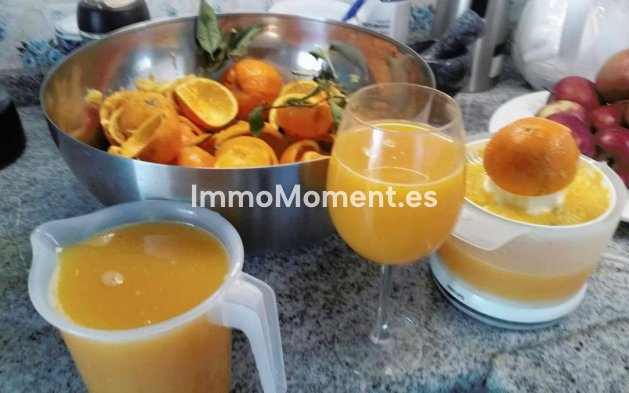 Wiederverkauf - Landhaus - Dolores - Dolores Centro