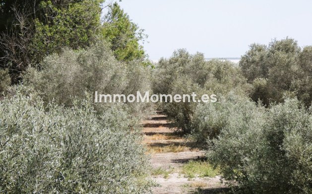 Wiederverkauf - Landhaus - Dolores - Dolores Centro