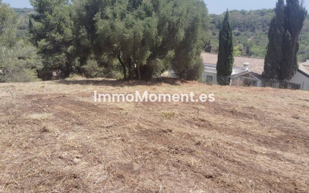 Wiederverkauf - Land - Sotogrande - Sotogrande Alto