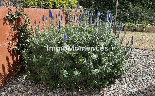 Revente - Villa - Fuengirola - Fuengirola Centro