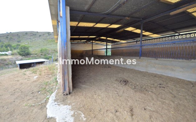 Revente - Maison de campagne - Mijas - Mijas Centro