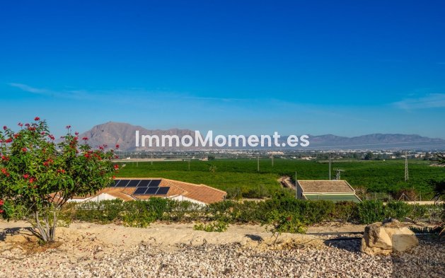 Resale - Villa - Benejúzar - Benejuzar Centro