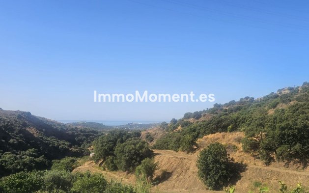 Bestaande woning - Landhuis - Estepona  - Estepona Centro