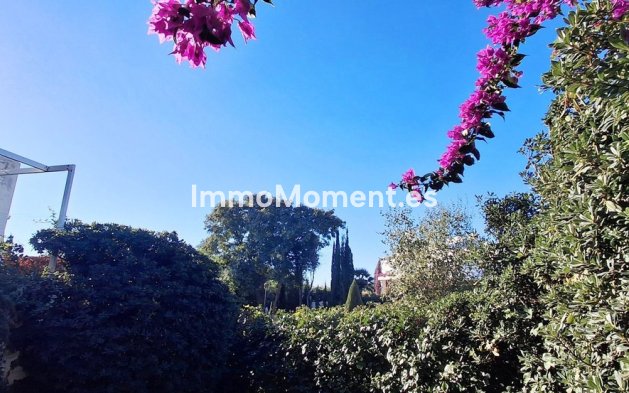 Revente - Appartement - Casares - Casares Centro