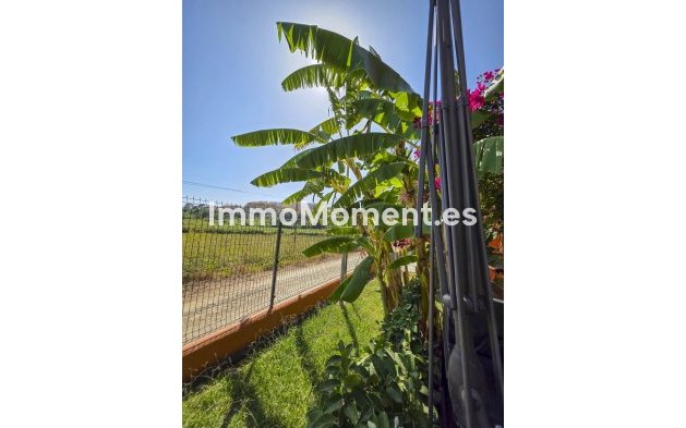 Resale - Apartment - Manilva - La Duquesa