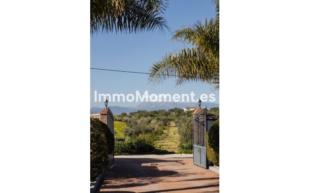 Revente - Maison mitoyenne - Intérieur                       - Alhaurín el Grande Centro