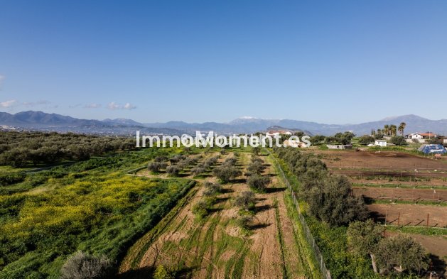 Revente - Maison mitoyenne - Intérieur                       - Alhaurín el Grande Centro