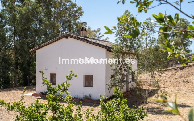 Revente - Maison de campagne - Intérieur                       - Cártama Centro