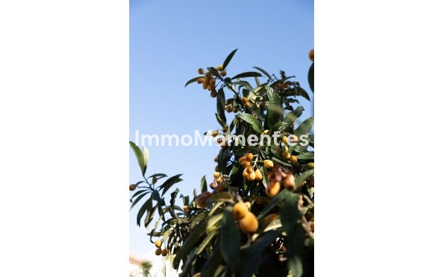 Wiederverkauf - Villa - Marbella - San Pedro de Alcántara