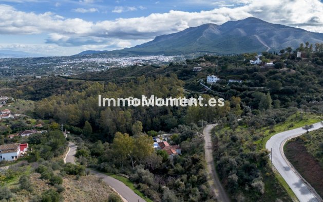 Revente - Maison de campagne - Intérieur                       - Alhaurín el Grande Centro