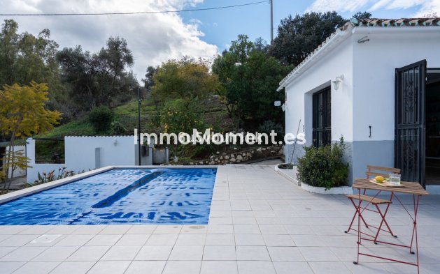 Revente - Maison de campagne - Intérieur                       - Alhaurín el Grande Centro