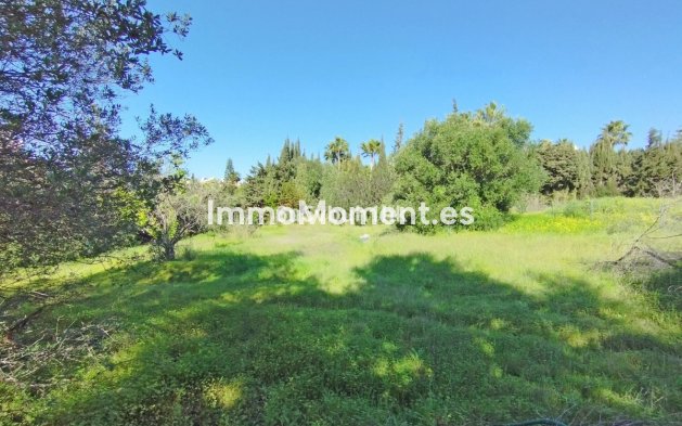 Wiederverkauf - Land - Estepona  - Bel Air