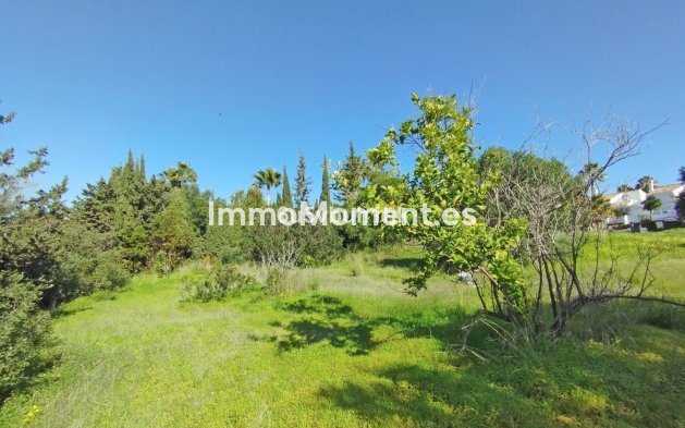 Wiederverkauf - Land - Estepona  - Bel Air