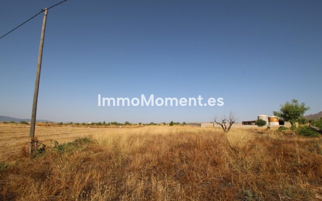 Revente - Maison de campagne - Jumilla - Torre Del Rico