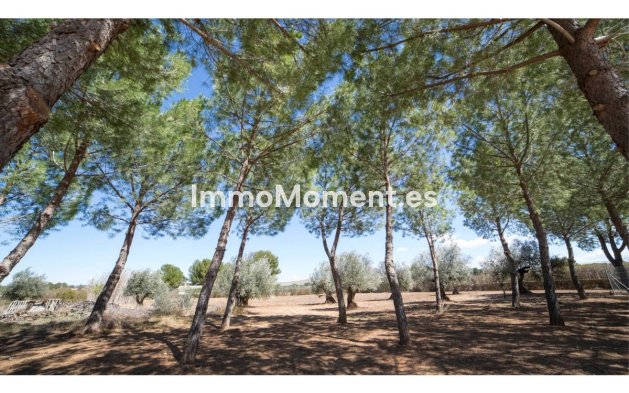 Revente - Villa - Yecla - Yecla Centro