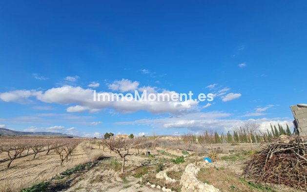 Reventa - Casa de campo - Pinoso - Pinoso Centro