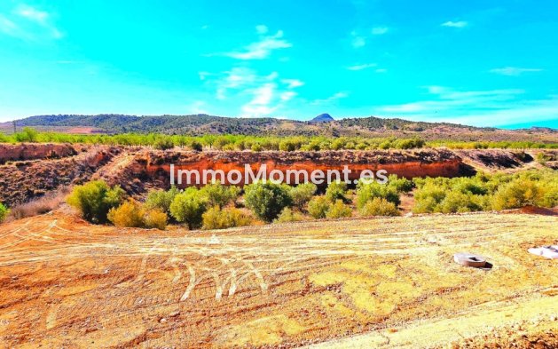 Revente - Villa - Abanilla - Macisvenda