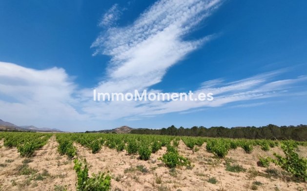 Bestaande woning - Landhuis - Yecla - Yecla Centro