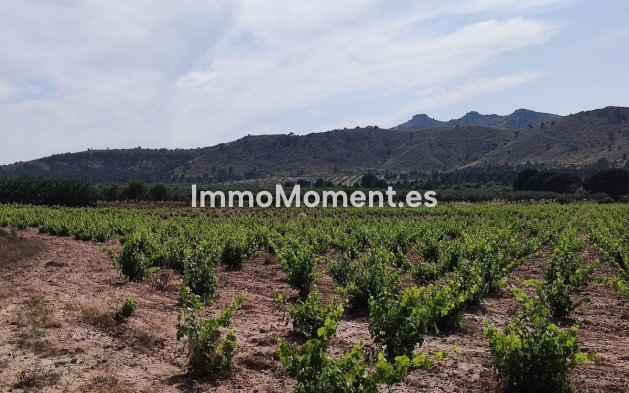 Bestaande woning - Landhuis - Yecla - Yecla Centro