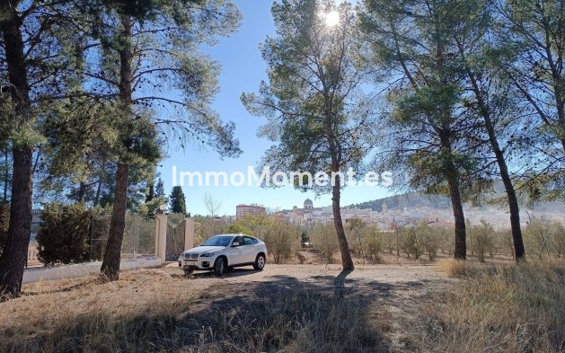 Revente - Villa - Yecla - Yecla Centro