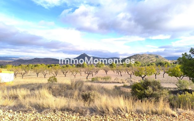 Wiederverkauf - Landhaus - Yecla - Yecla Centro