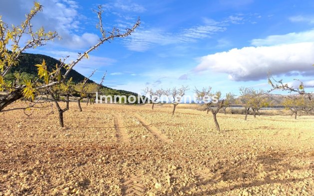 Wiederverkauf - Landhaus - Yecla - Yecla Centro
