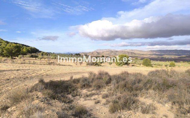 Wiederverkauf - Landhaus - Yecla - Yecla Centro