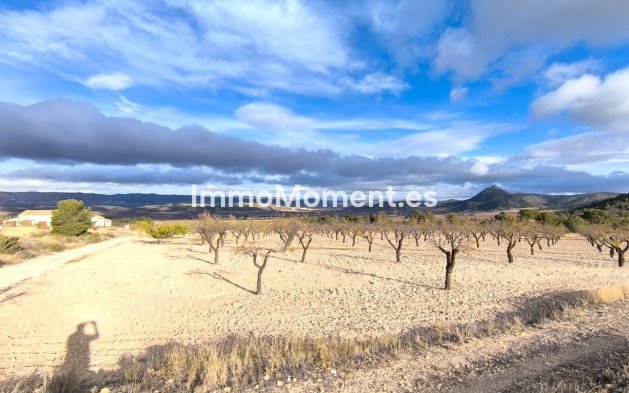 Wiederverkauf - Landhaus - Yecla - Yecla Centro