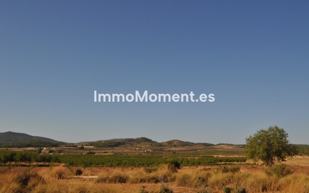 Wiederverkauf - Landhaus - Pinoso - Pinoso Centro