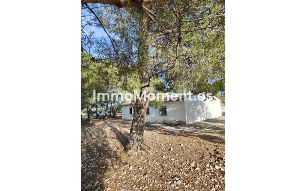 Revente - Maison de campagne - Yecla - Yecla Centro