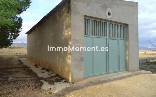 Revente - Maison de campagne - Yecla - Yecla Centro