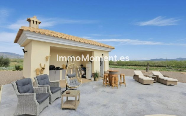 Wiederverkauf - Villa - Pinoso - Pinoso Centro