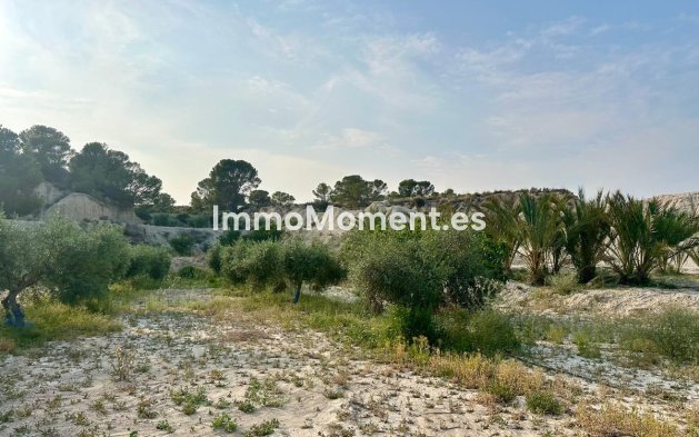 Revente - Maison de campagne - Abanilla - Abanilla Centro
