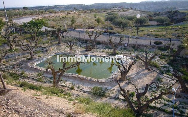 Reventa - Villa - Abanilla - Abanilla Centro