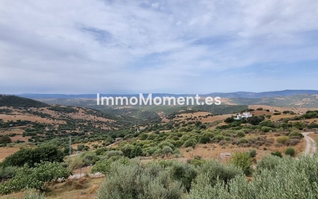 Revente - Maison de campagne - Casares - Casares Centro