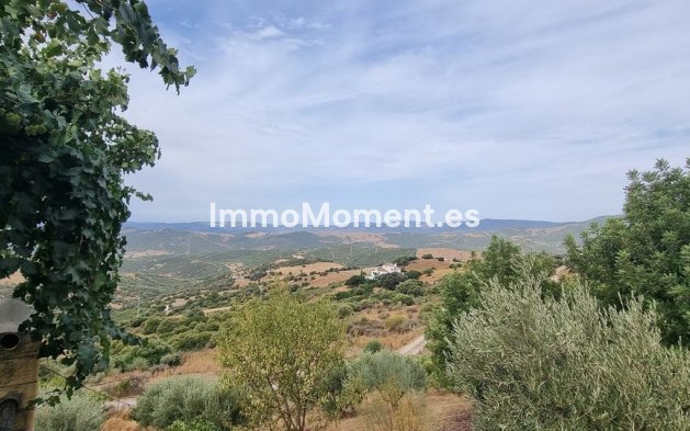 Revente - Maison de campagne - Casares - Casares Centro