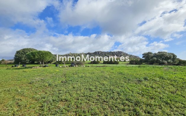 Revente - Villa - Casares - Casares Centro